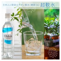 北欧ノルウェーの天然水オルデン 500ml×24本