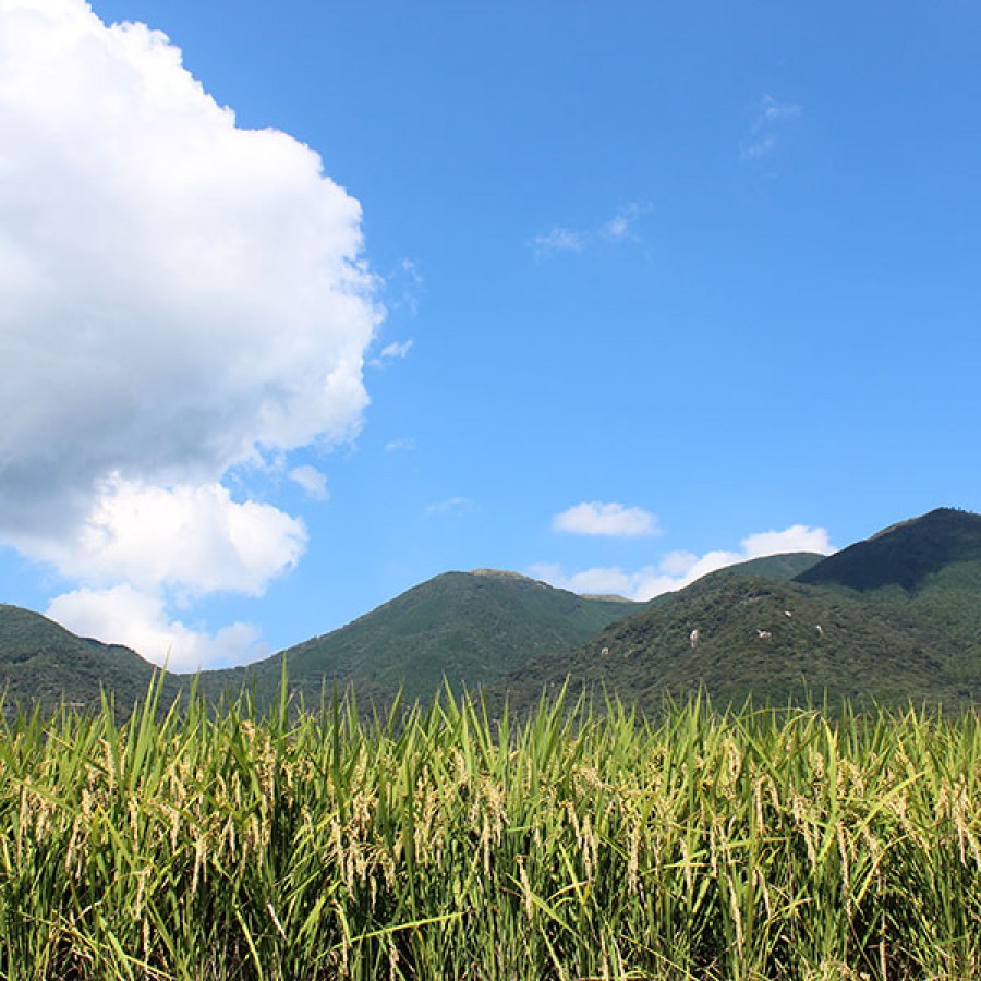 【福岡県】ふくち★リッチジェラート　プレミアムセット