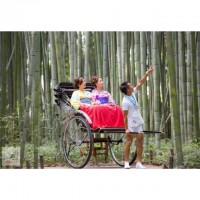 えびす屋観光人力車22分コースペアチケット