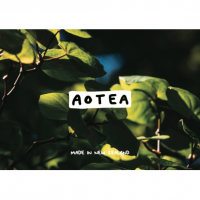 AOTEAマヌカハニー 125+MGO （80g）2個セット