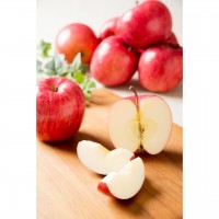 【北海道】りんご(大玉品種 北斗) 5㎏(お届け期間12月5日頃より順次)