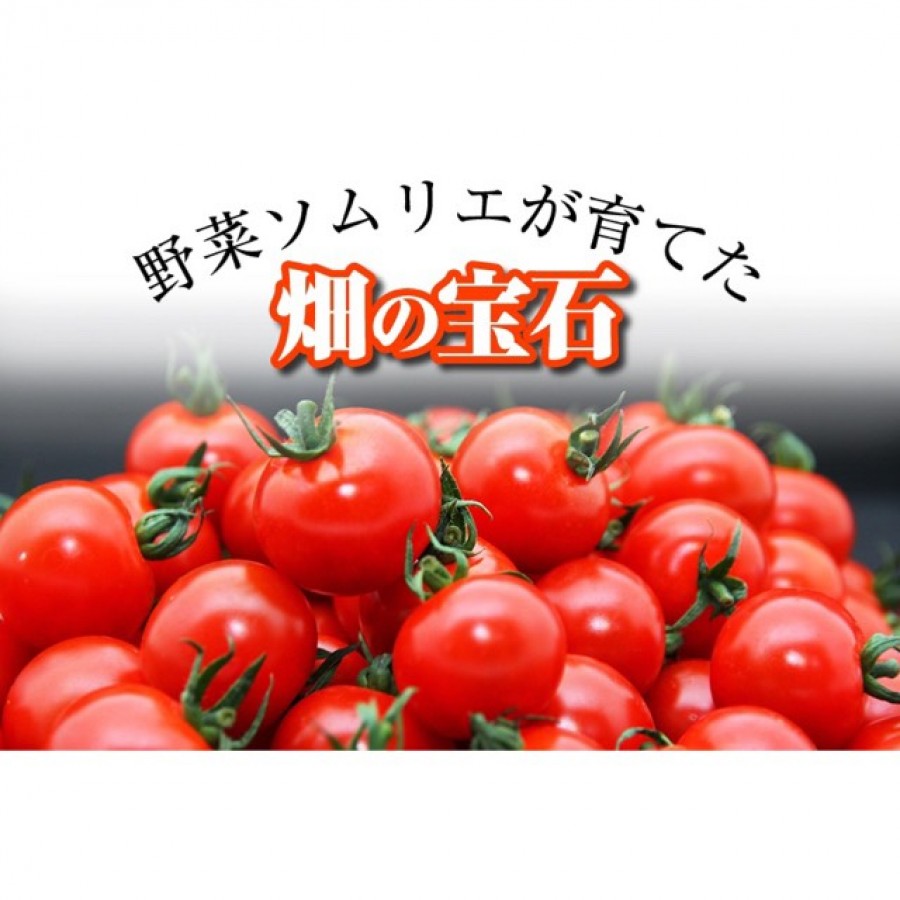 【熊本県】『食べ比べ』 ソムリエミニトマト プラチナ1㎏とダイヤ1㎏のセット～季節商品12月15日~6月末