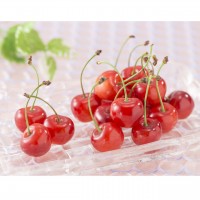【北海道】さくらんぼ 佐藤錦 約600g（出荷期間6月下旬～7月上旬）