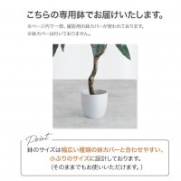【高さ90cm】Nature 光触媒人工観葉植物 パキラ