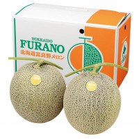 【北海道】ふらの赤肉メロン/秀品(約1.6kg)×2玉（出荷期間7月上旬～8月中旬）