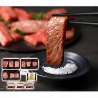 【香川県】オリーブ牛8種焼肉＆ハンバーグセット　真空密封