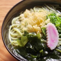 【兵庫県】淡路島手延べ麺詰合せ(玉ねぎうどん＆わかめうどん)