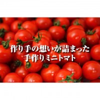 【熊本県】『塩トマトのようなフルーツトマト』 ソムリエミニトマト ダイヤ1.5㎏～季節商品10月末~6月末