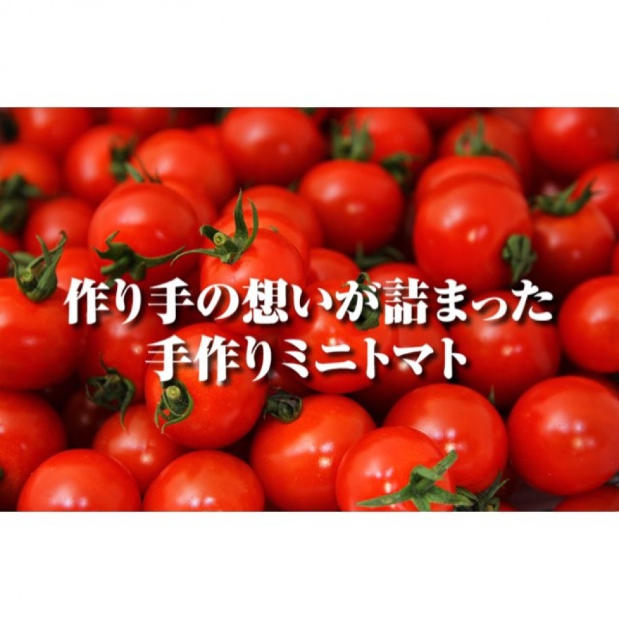 熊本県 塩トマトのようなフルーツトマト ソムリエミニトマト ダイヤ3 季節商品10月末 6月末 引き出物宅配サービス 引き出物宅配ならヒキレボ