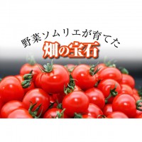 【熊本県】『食べ比べ』 ソムリエミニトマト プラチナ700ｇとダイヤ700ｇのセット～季節商品12月15日~6月末