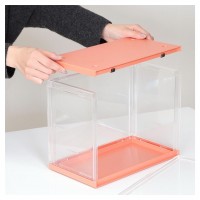 コレクションケース hina Peach Blossom