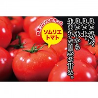 【熊本県】『食べ比べ』 ソムリエトマト1.3㎏とソムリエミニトマト プラチナ500ｇとダイヤ500gのセット～季節商品1月20日~6月末