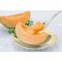 【北海道】ふらの赤肉メロン 優品 約2kg 1玉（発送期間7月中旬～8月中旬）