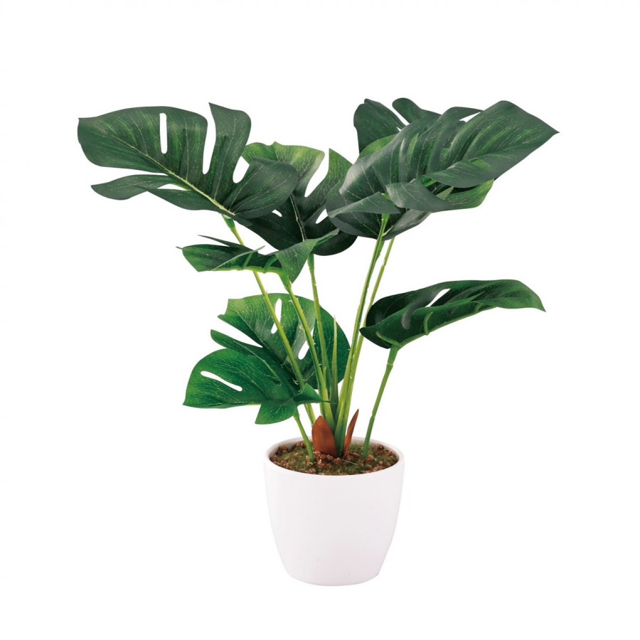 SC触媒加工 人工観葉植物 ミニ観葉 モンステラ（フェイクグリーン）