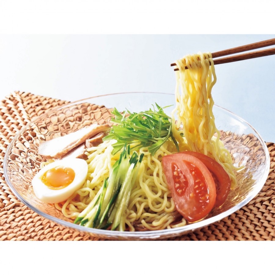 【北海道】冷やしラーメン10食セット（発送期間6月～8月下旬）