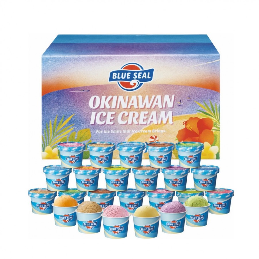 【沖縄県】ブルーシールアイス　24個