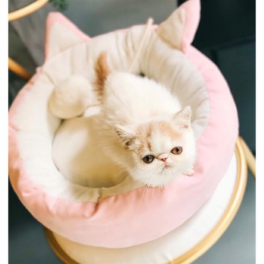 ペット用ベッド ピンク 犬猫通用 引き出物宅配サービス 引き出物宅配ならヒキレボ ペット用ベッド ピンク 犬猫通用 引き出物宅配サービス 引き出物宅配ならヒキレボ