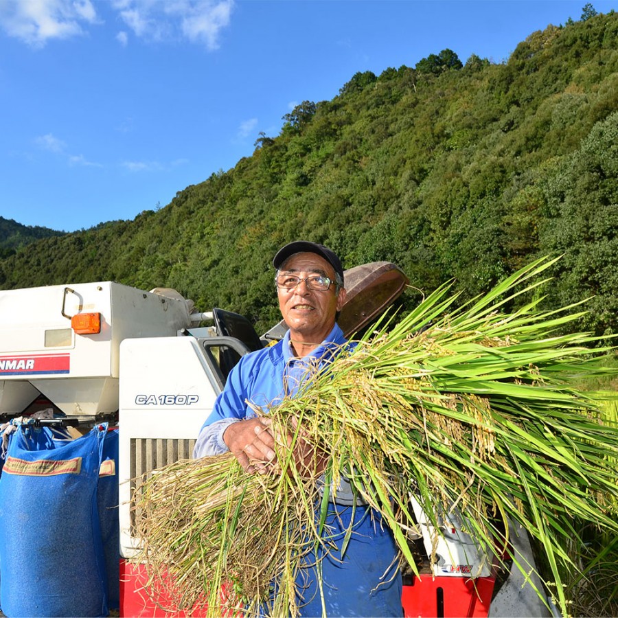 【高知県】しまんとの米農家に丹誠込めて育てられた、四万十のお米 2合 300g 3個セット