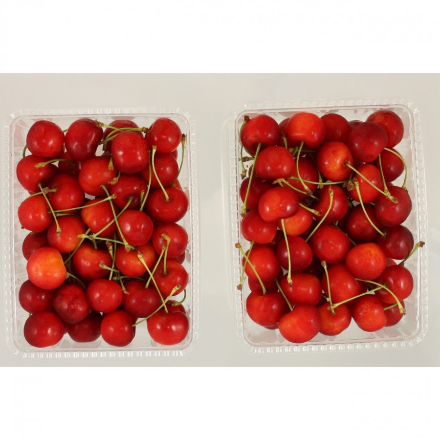【北海道】さくらんぼ 紅秀峰 約600g（出荷期間7月上旬～7月中旬）